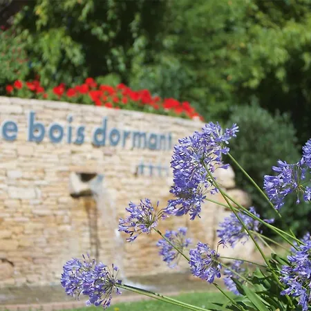 Beautiful Stacaravan Saint-Jean-de-Monts